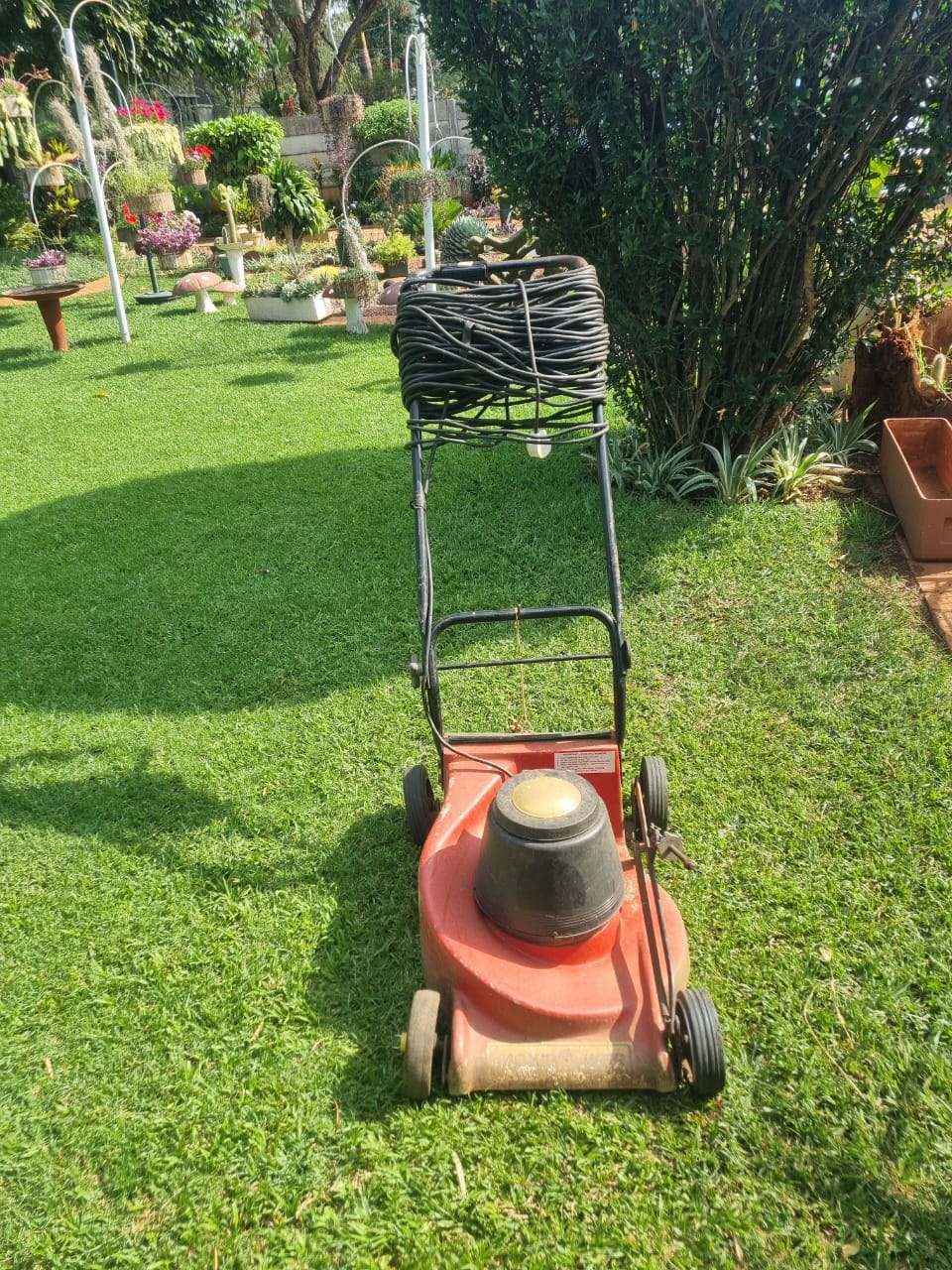 Lawnmower electric original